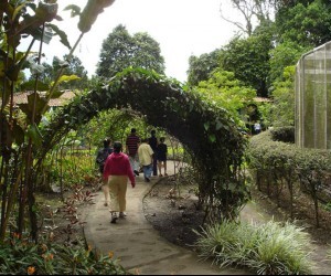 Jardín Botánico y Mariposario (Quimbaya). Fuente: Uff.Travel